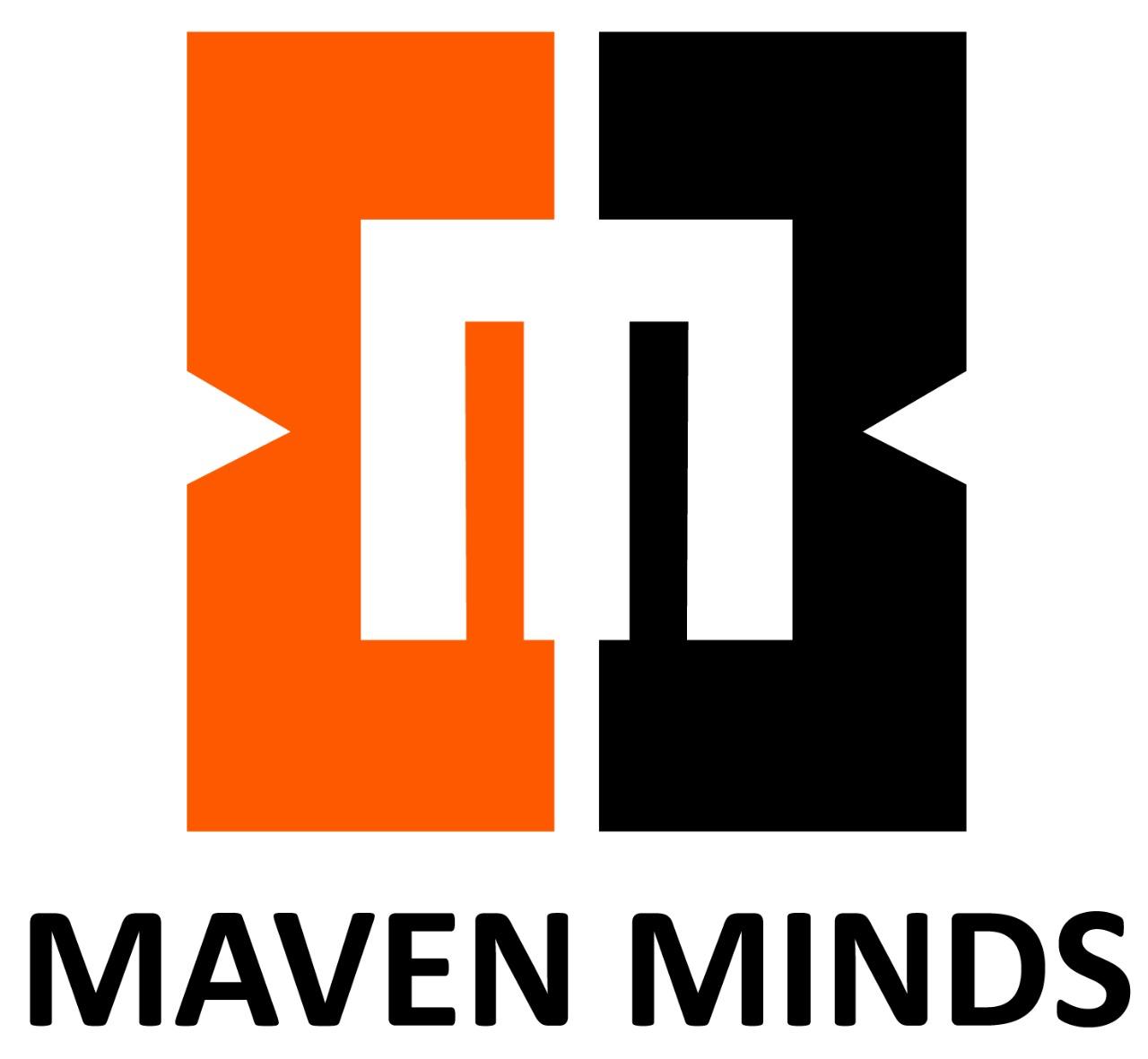 https://mavenminds.com.pk/